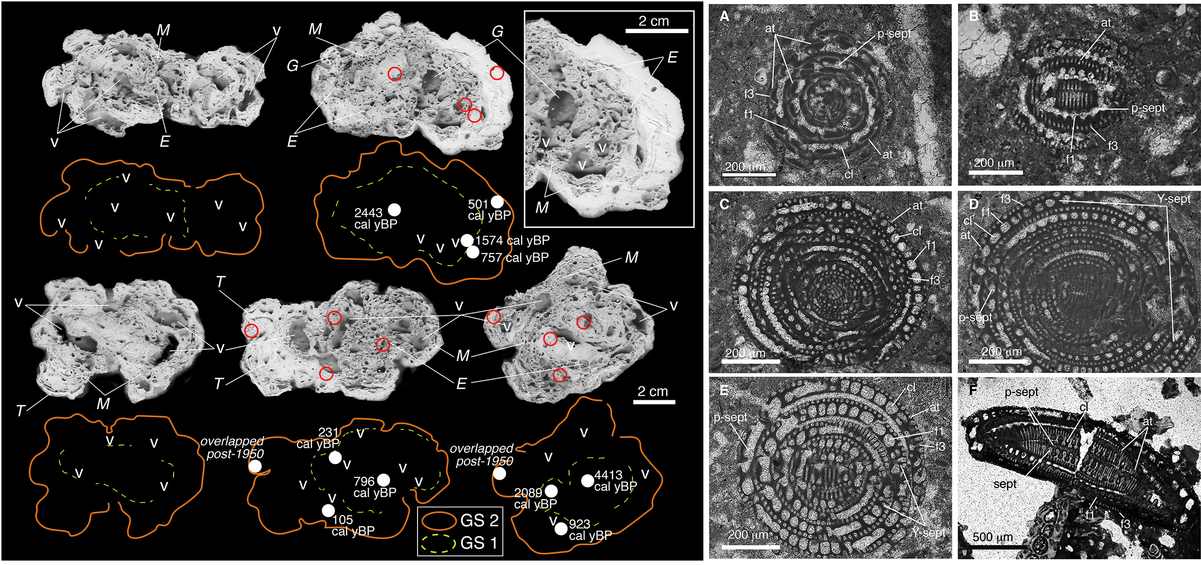 laboratorio Paleobiologia_Bassi.jpg