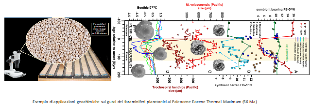 Luciani_Tematica.png